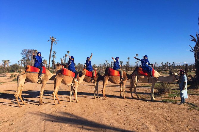 2 Hours Camel Ride in The Famous Marrakech Palm Groves and Berber Villages - Pricing and Packages