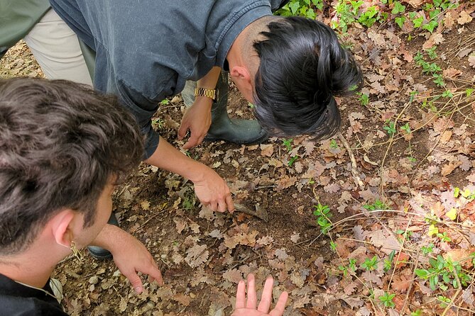 2 Hours Private Activity - Truffle Hunting in Assisi - Accessibility Information