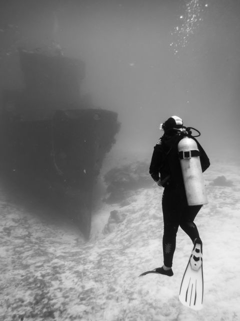 2 Tank Dive in Cozumel's Marine National Park - Highlights