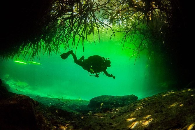 2 Tanks Cenote Diving Adventure in Tulum for Certified Divers - Dive Sites