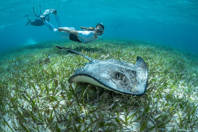 24h Snorkel Rental Equipment, Discover Tenerife on Your Own! - Where Is the Dive Shop Located?