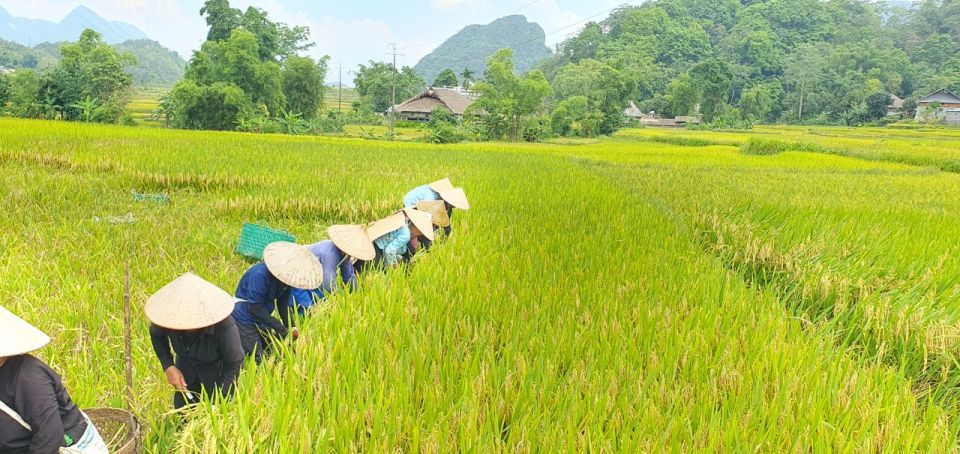 3-Day Amazing Ha Giang Loop Self-Riding Motorbike - Activity Details