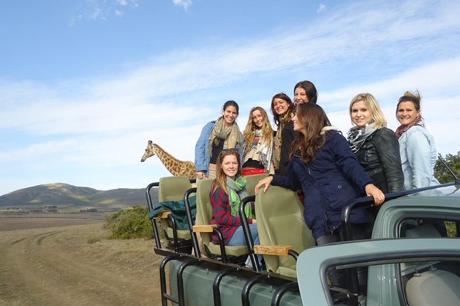 3 Day Big 5 and Bungee Tour - Garden Route Small Group Tour From Cape Town - Booking Information