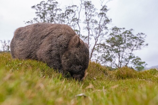 3-Day Cradle Mountain Photography Workshop - Photography Opportunities