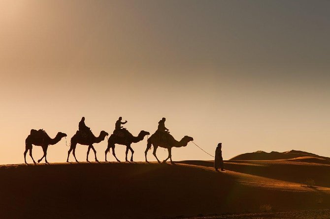 3-Day Desert Experience From Marrakech - Tour Guide Insights