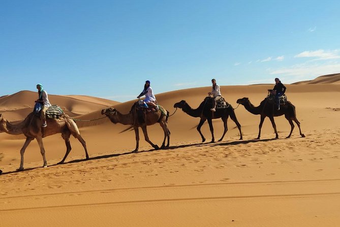 3 Day From Fes via Desert Marrakech - Transportation Information