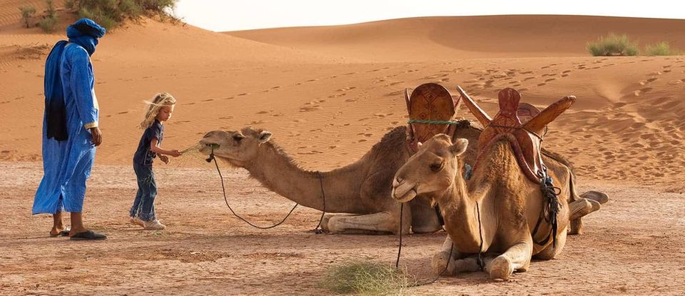 3-Day Marrakech Desert Tour to Erg Chigaga Dunes - Activity Highlights and Inclusions