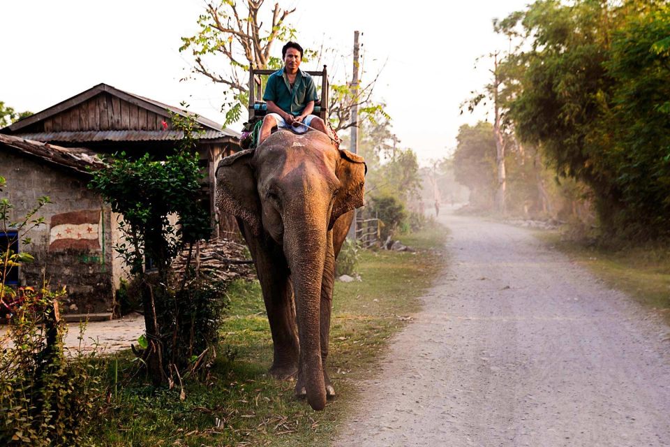 3 Day Nepal Chitwan Jungle Safari Tour From Kathmandu - Experience Highlights