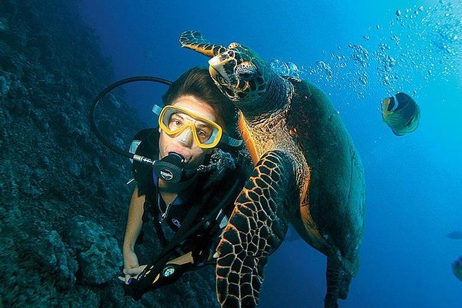 3-Day PADI Open Water Diving Course in Dubai - Booking Details