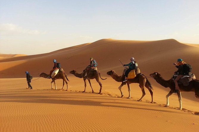 3-Day Private Desert Tour From Marrakech to Fez - Pricing and Booking Information