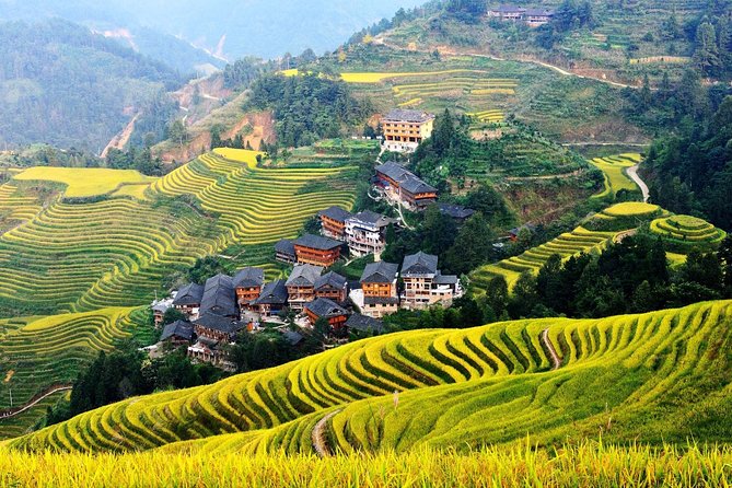 3-Day Private Guilin Tour:City Highlights,Longji Rice Terrace,Cruise to Yangshuo - Longji Rice Terrace Visit