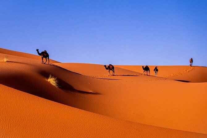 3-Day Private Sahara Desert to Merzouga From Marrakech With Licensed Guide - Inclusions and Exclusions