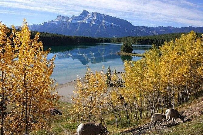 3 Day Rocky Mountains Tour, Banff & Yoho National Park (Free Airport Transfer) - Accommodations and Inclusions