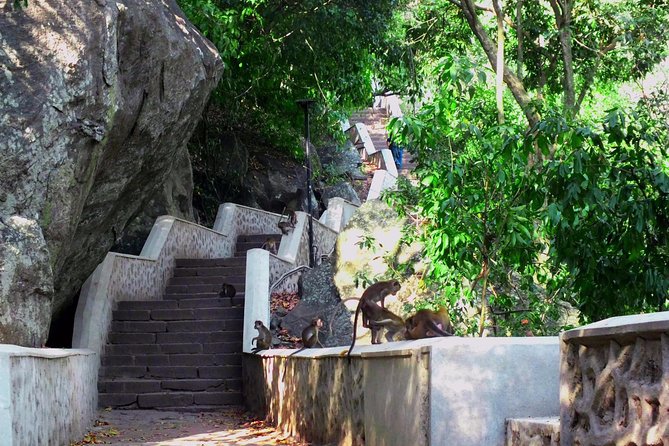 3 Day SriLanka Cultural Tour:Dambulla/ Sigiriya/ Polonnaruwa / Minneriya/ Kandy - Cultural Immersion in Dambulla