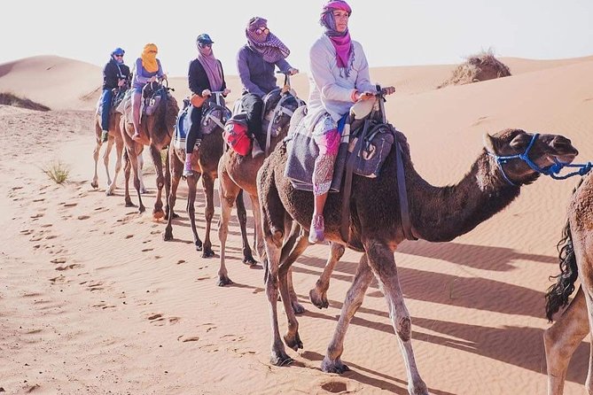 3 Day to Sahara Desert Trip From/To Marrakech - Accommodation Details