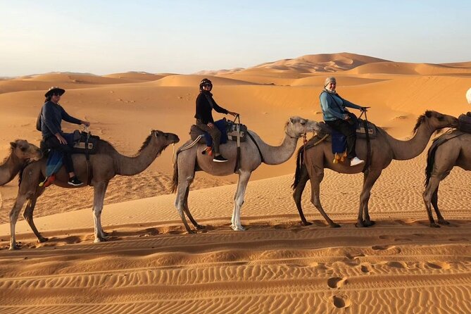 3 Day Tour From Marrakech to Merzouga With Camel Ride Included - Customer Reviews and Testimonials