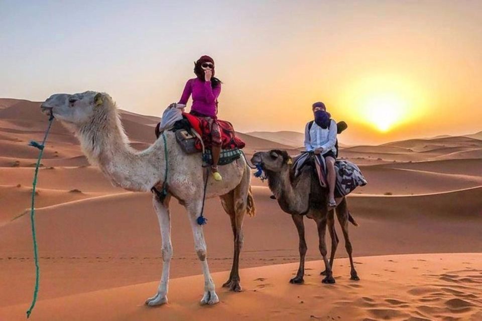 3 Day Tour Marrakesh To Merzouga Sahara Via Atlas Montains - Inclusions and Recommendations