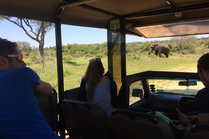 3-Day Tour of Kruger National Park From Skukuza Airport - Wildlife Spotting Opportunities