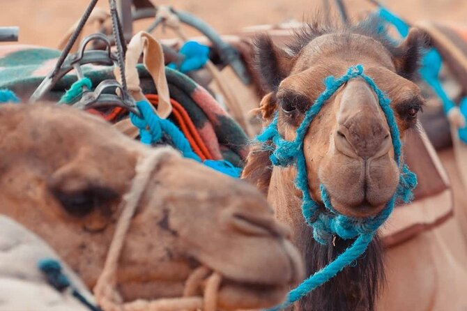 3 Day Trip From Marrakech to Merzouga - Packing List