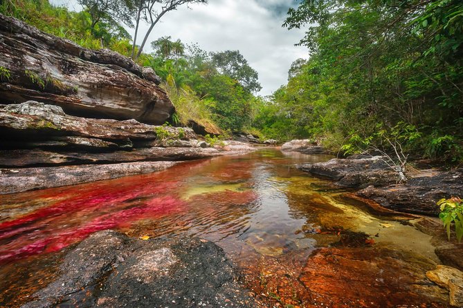 3-Day Trip to Caño Cristales From Bogota - Tour Itinerary Details