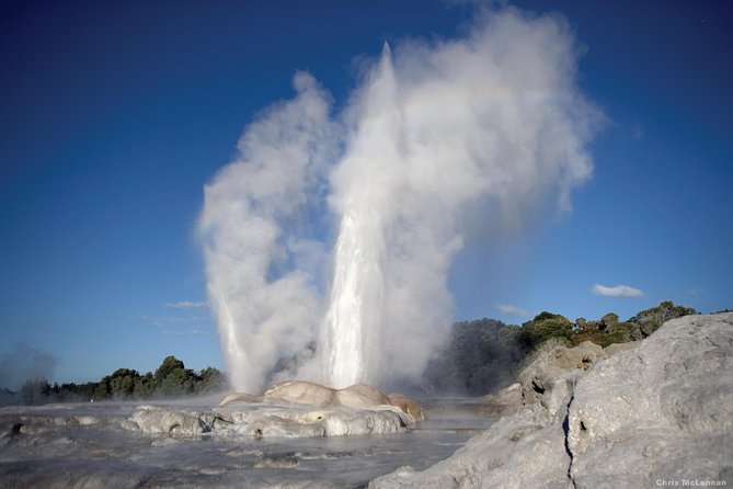 3 Day Waitomo Caves, Hobbiton Movie Set and Rotorua Tour From Auckland - Reviews and Testimonials