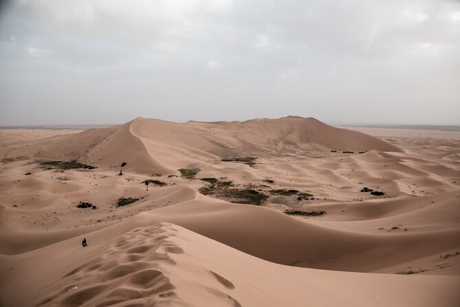 3 Days 2 Nights Desert Tour From Fes to Marrakech via Erg Chebbi - Common questions