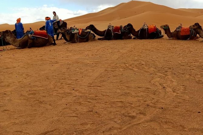 3 Days 2 Nights: Desert Tour From Fes to Marrakech - Booking Information and Pricing