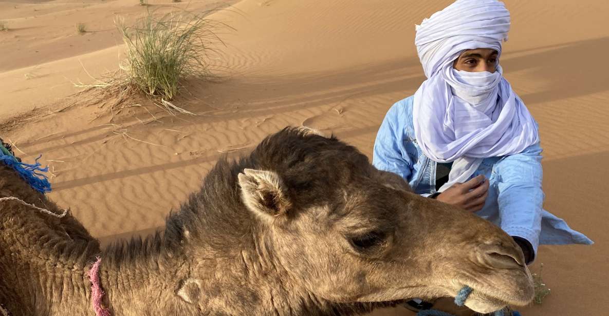 3 Days Camel Trekking in Morocco Desert Tour - Experience Highlights