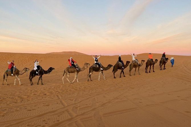 3 Days: Desert Tour From Fes to Marrakech - Nomad Camp & Camel Trek - Tour Inclusions