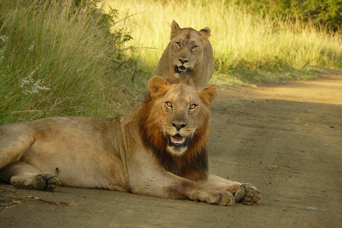 3 Days Durban Safari Tour Package - Accommodation and Meals Included