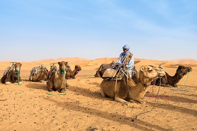 3-Days Morocco Tour : Sahara Desert Tour From Fes to Marrakech - Detailed Itinerary