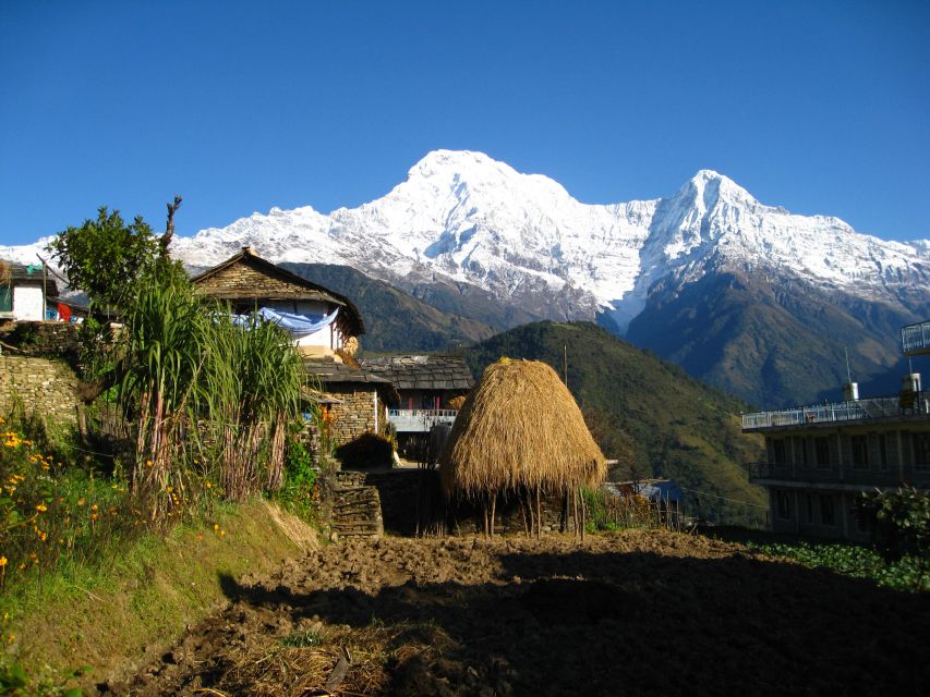 3 Days Poon Hill Trek With Alpine Eco Trek - Itinerary Overview