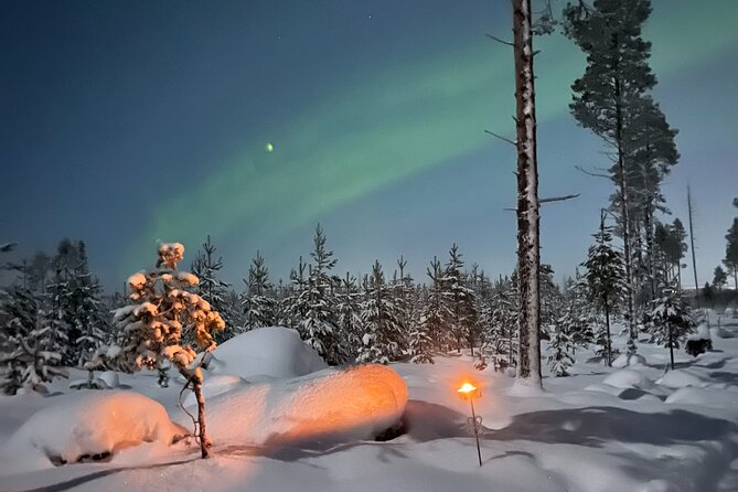 3 Hour Aurora Hunting Through the Forests of Lapland - Unforgettable Lapland Aurora Experience