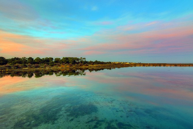 3-Hour Boat Tour in Ria Formosa on Olhão Algarve - Traveler Reviews and Experiences