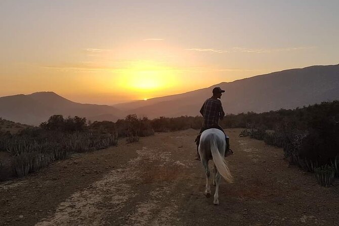 3-hour Horseback Ride Mountain and Beach Morocco - Discover Scenic Mountain Trails
