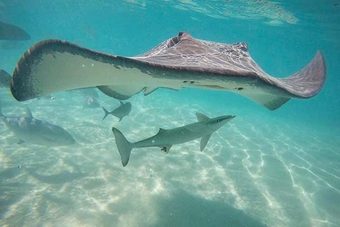 3-hour Lagoon Snorkeling Tour - Private Tour - Group Exclusivity