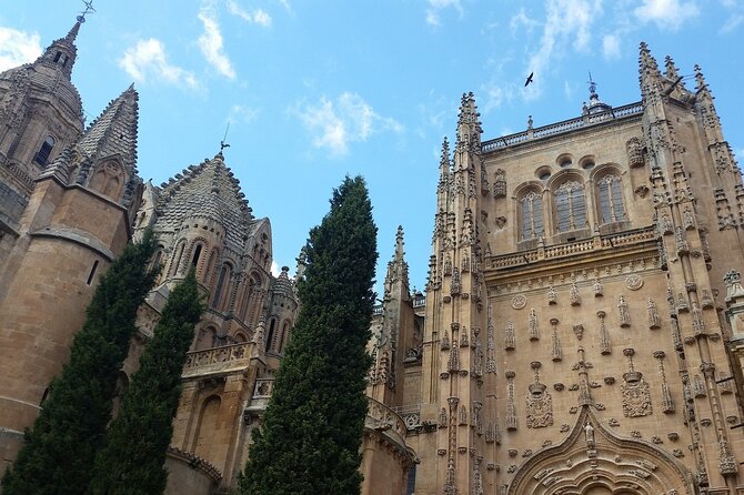 3-hour Private Tour of Salamanca - Tour Inclusions and Exclusions