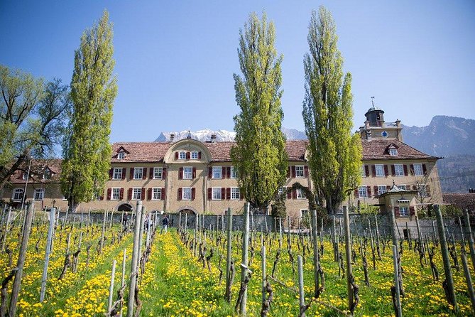 3 Hour Unique Wine Tour - Half Day in Swiss Alps - Booking Information