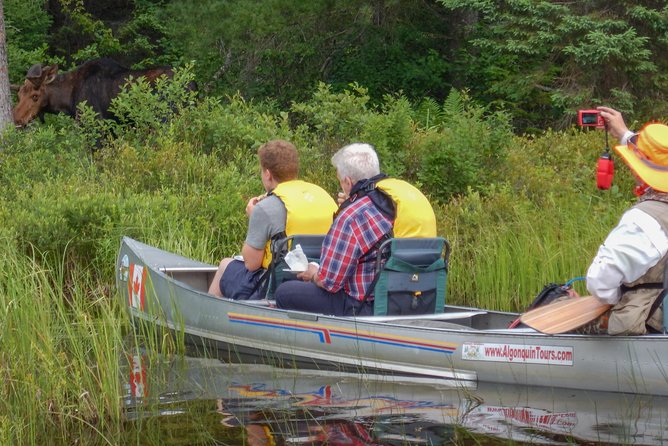 3 Hour VIP Electric Canoe Photography Tour (Private, Price Is for 2 People) - Exclusive Features and Tour Overview