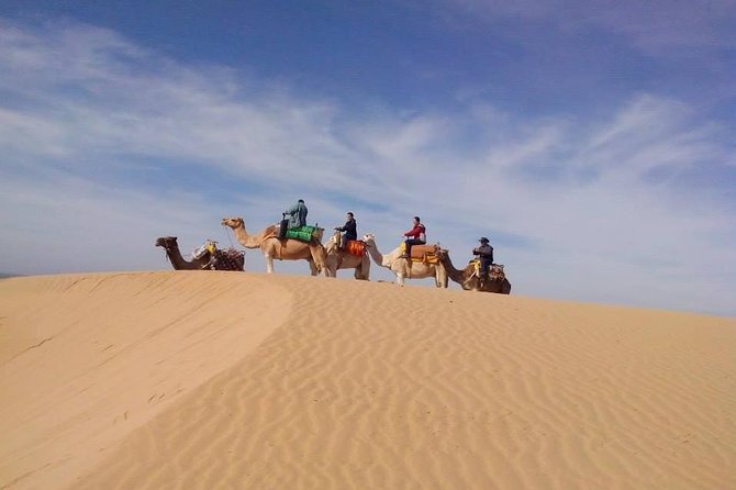 3 Hours Camel Ride in Essaouira With Dinner and Overnight in Berber Camp - Booking Information