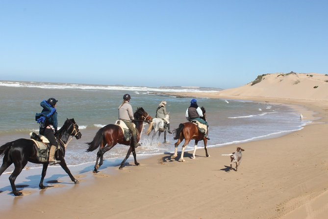 3 Hours Horse Riding With Dinner and Overnight Berber Camp - Cancellation Policy