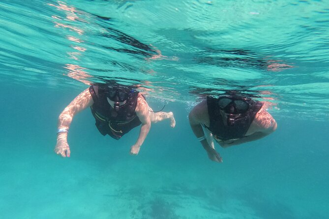 3 in 1 Private Tour Tulum Cenote and Snorkeling in the Reef - Pricing and Group Options