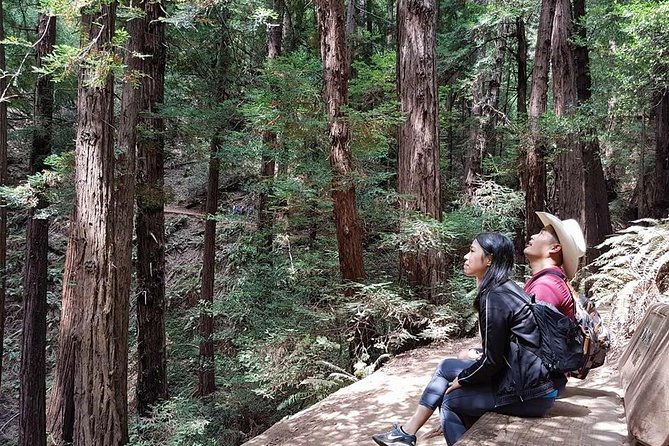 3 in 1 Tour: Muir Woods, Sausalito & Half Day Wine Country Visit - Customer Reviews and Recommendations