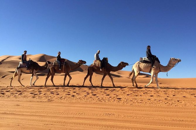 3days Sahara Desert Trips Fes to Marrakesh - Transportation Details