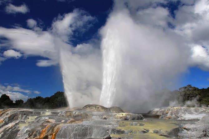 4-Day Auckland to Wellington via Rotorua Tour - Customer Reviews