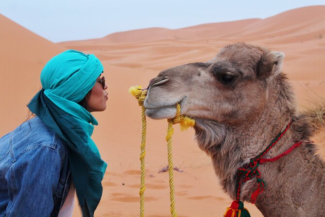 4 Day Desert Tour From Fez to Marrakech Through Merzouga, Valleys & Ouerzazat - Accommodation Details