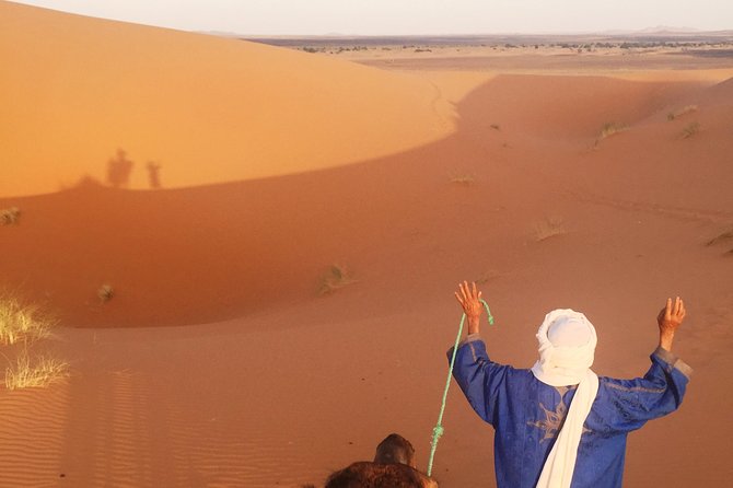 4 Day Trip Enroute From Marrakech to Sahara Desert - Day 2: Ait Benhaddou to Tinghir