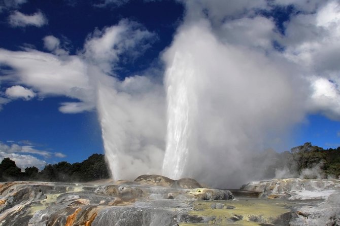 4-Day Wellington to Auckland via Rotorua Tour - Itinerary Overview