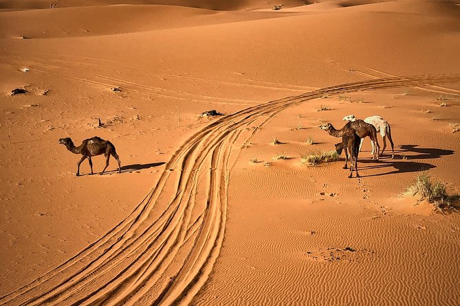 4 Days and 3 Nights From Marrakech to Marrakech via Desert - Accommodation Details