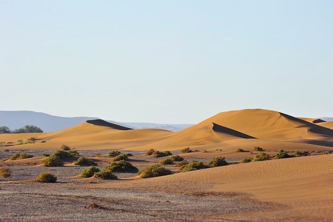 4 Days Hiking To Desert - Day 3: Summiting the Dunes